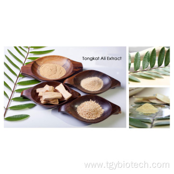 Plant Extract Tongkat Ali Extract Tongkat Ali Powder